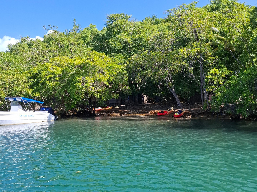 Capitaine Titi Balades en Mer-La Trinite必去景点