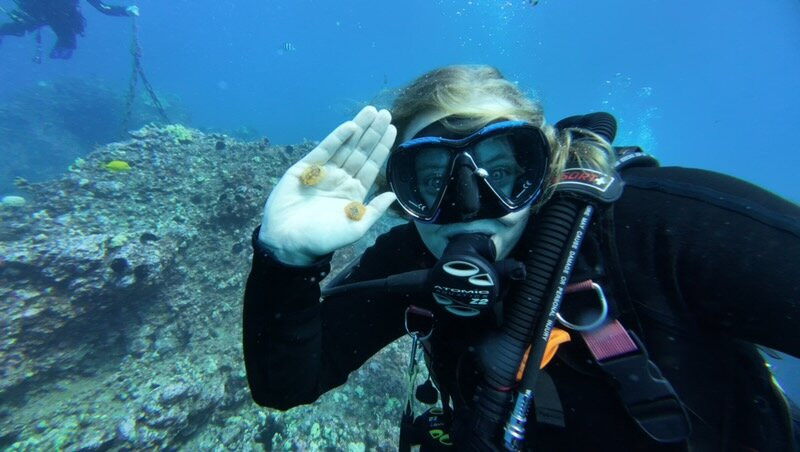 Liquid Cosmos Divers-卡威哈也必去景点