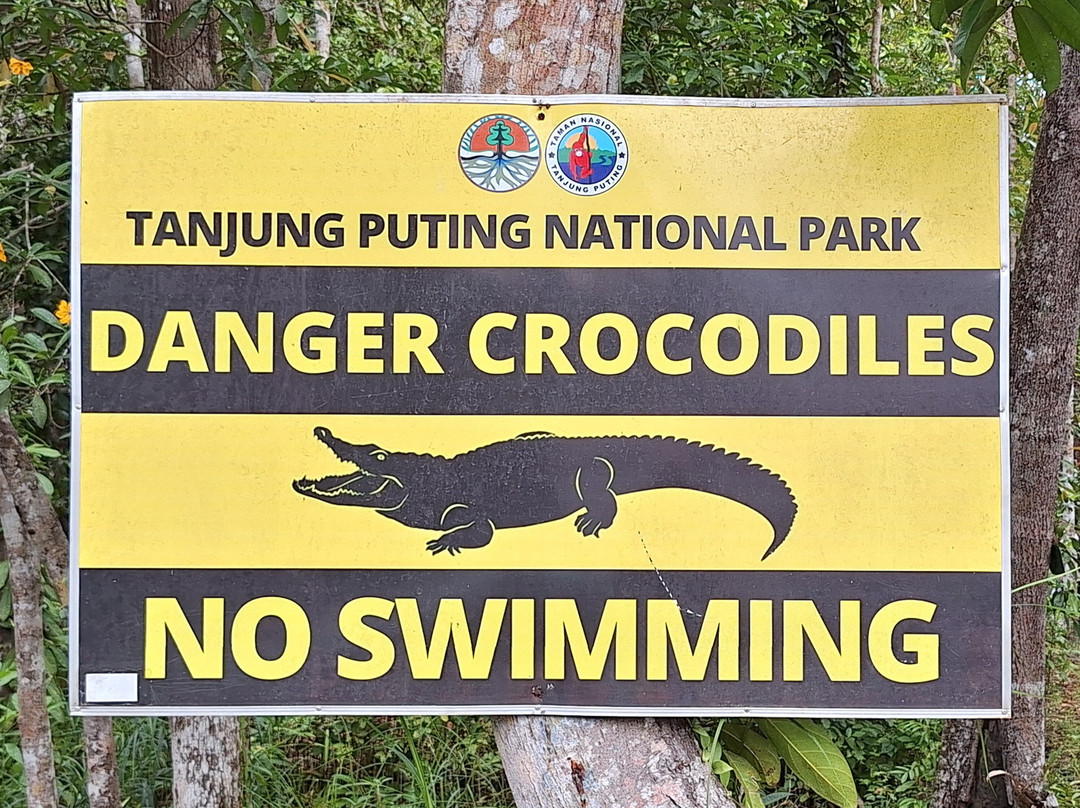 Local Guides - Tanjung Puting-Pangkalan Bun必去景点