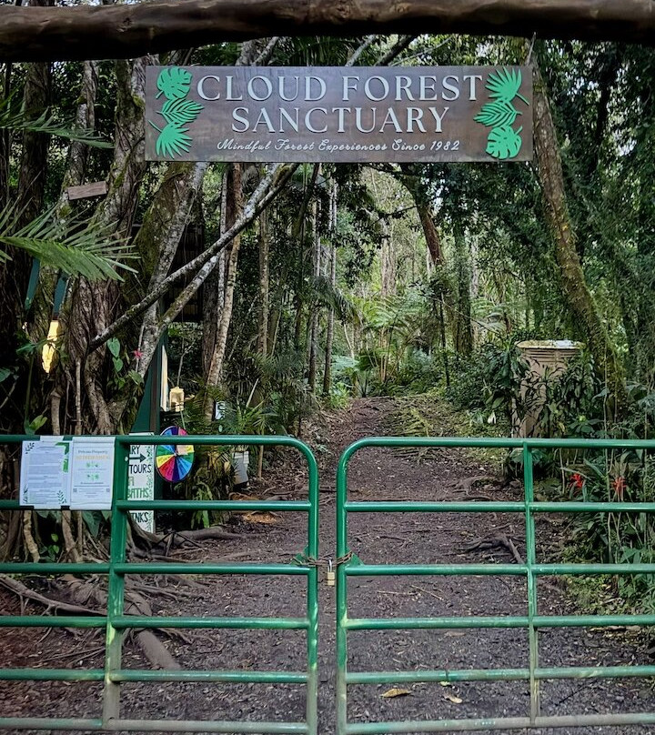 Kona Cloud Forest Sanctuary-凯鲁瓦-柯纳必去景点