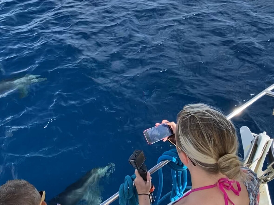 Blue Bay Bonaire-Kralendijk必去景点