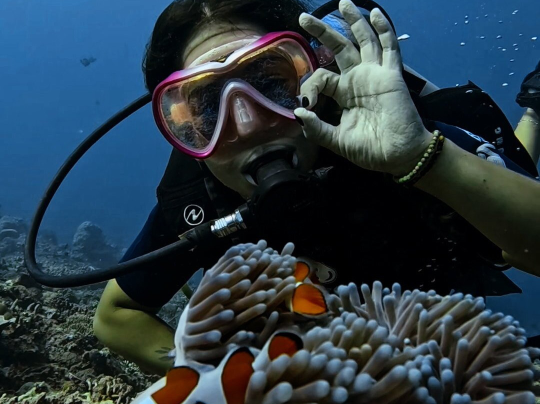 DPM Diving Gili Air-Gili Air必去景点