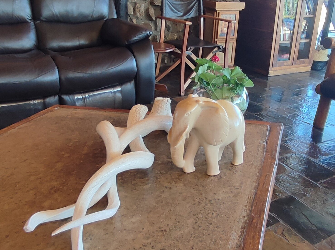 Aloegrove Safari Lodge主图