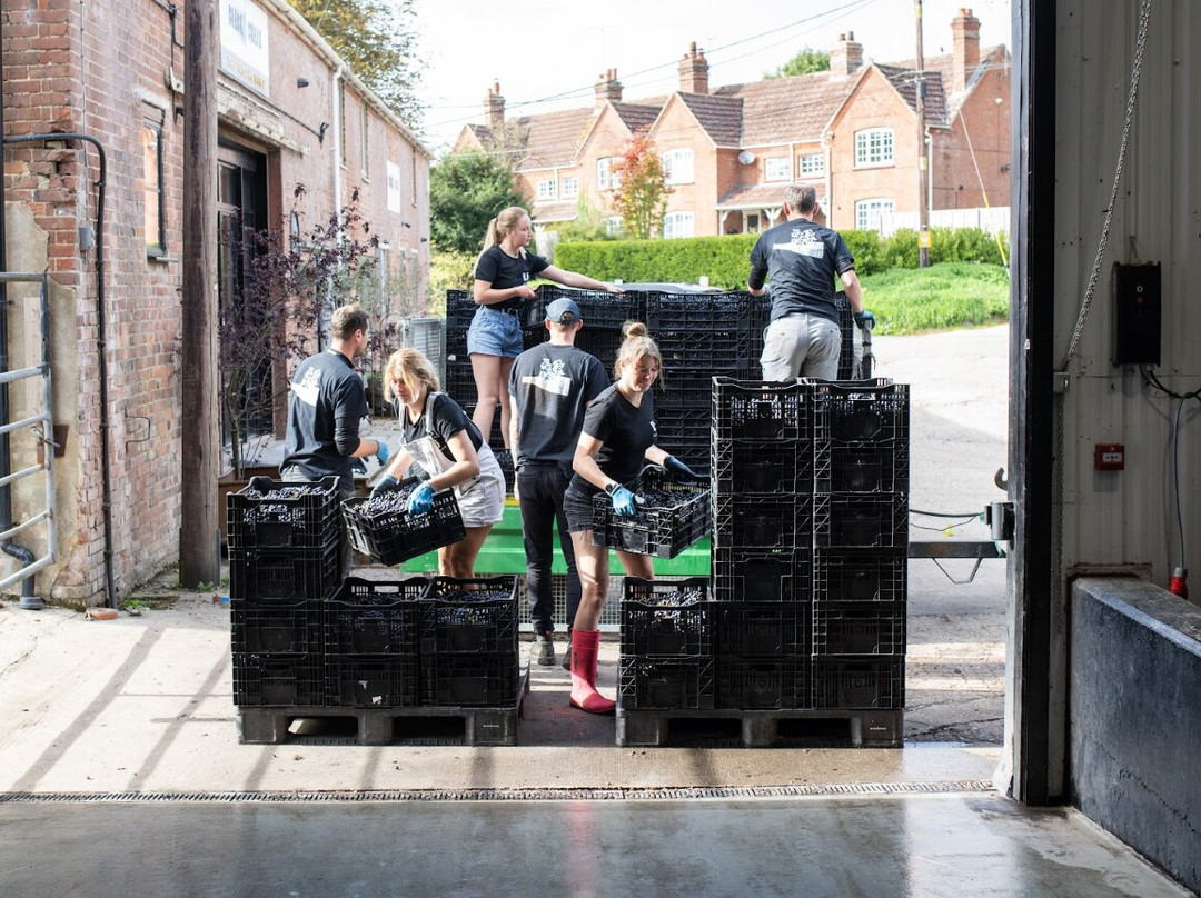 Black Chalk Wine-Andover必去景点