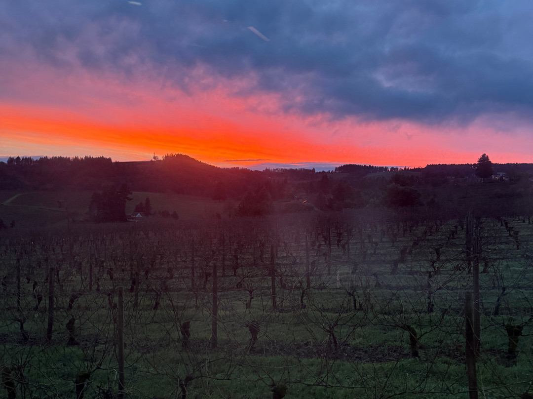 Furioso Vineyards-Dundee必去景点