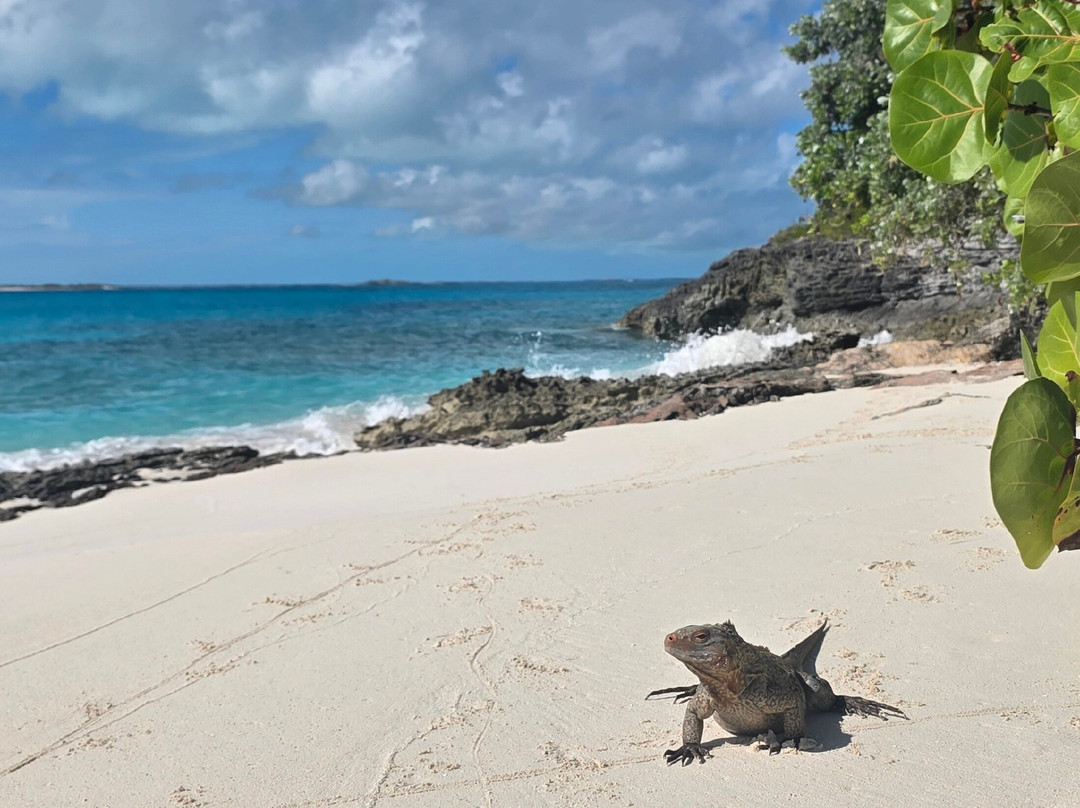 Exuma Water Sports 007-大埃克苏马必去景点