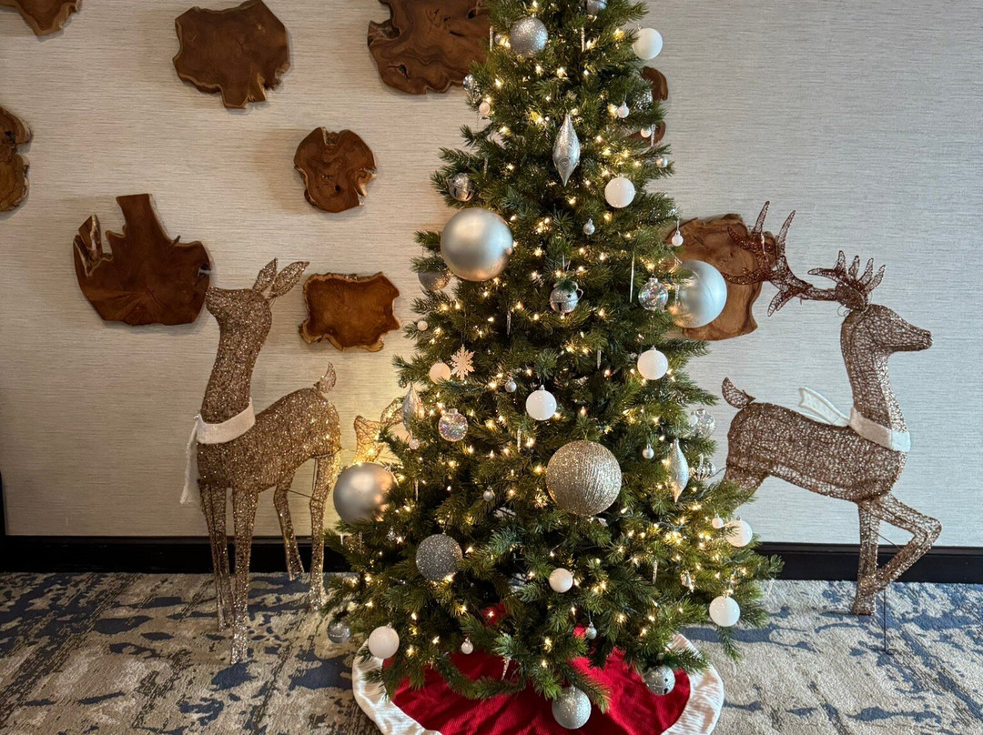 DoubleTree by Hilton Charleston Mount Pleasant主图