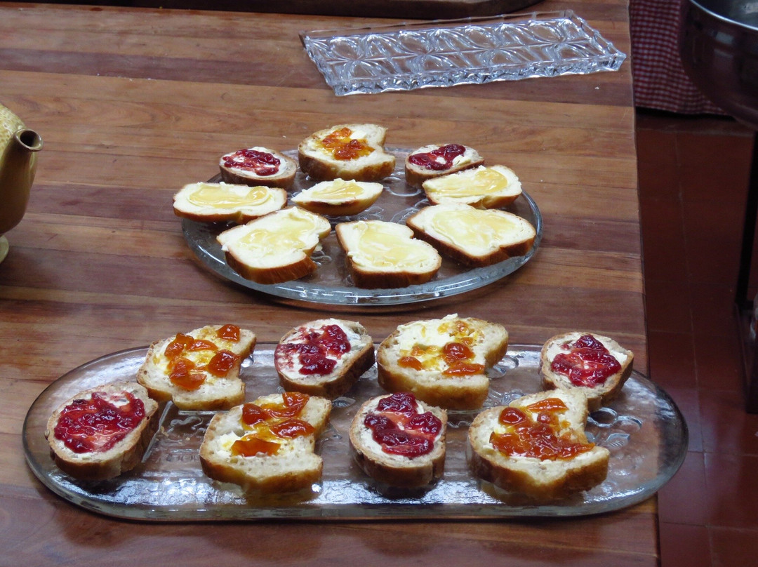 Delta Unplugged-蒂格雷必去景点