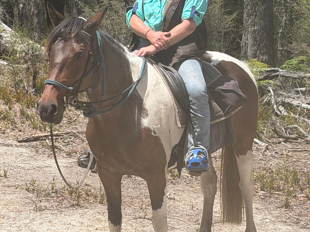 Cradle Country Adventures-摇篮山圣克莱尔湖国家公园必去景点