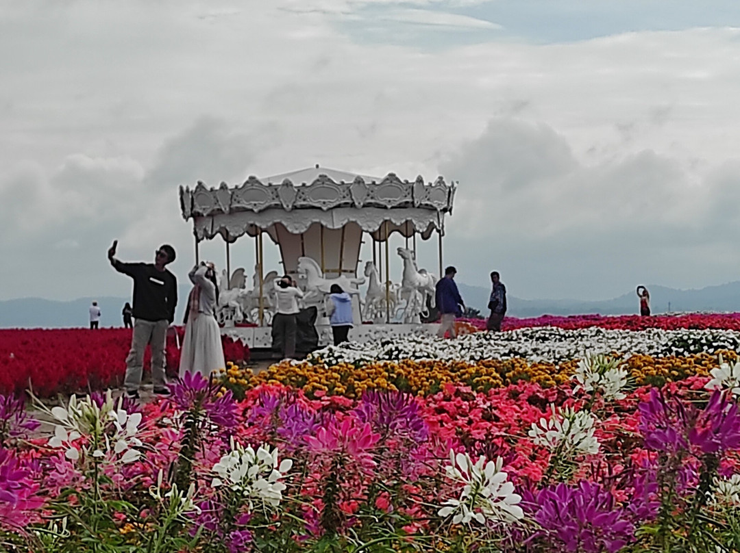 Peter Bangkok Taxi-曼谷必去景点