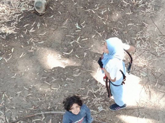 Acrobranch Stellenbosch-斯泰伦博斯必去景点