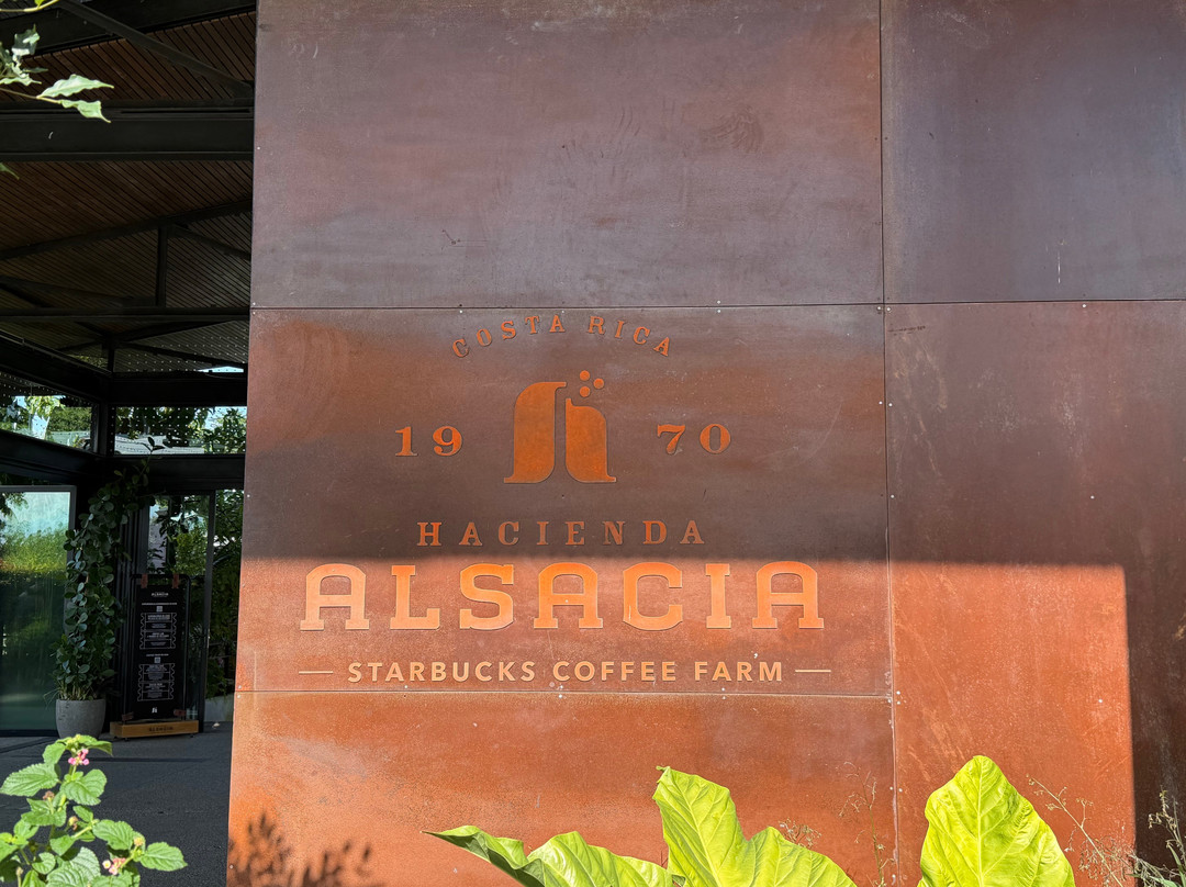 Arenal Cautiva-El Castillo必去景点