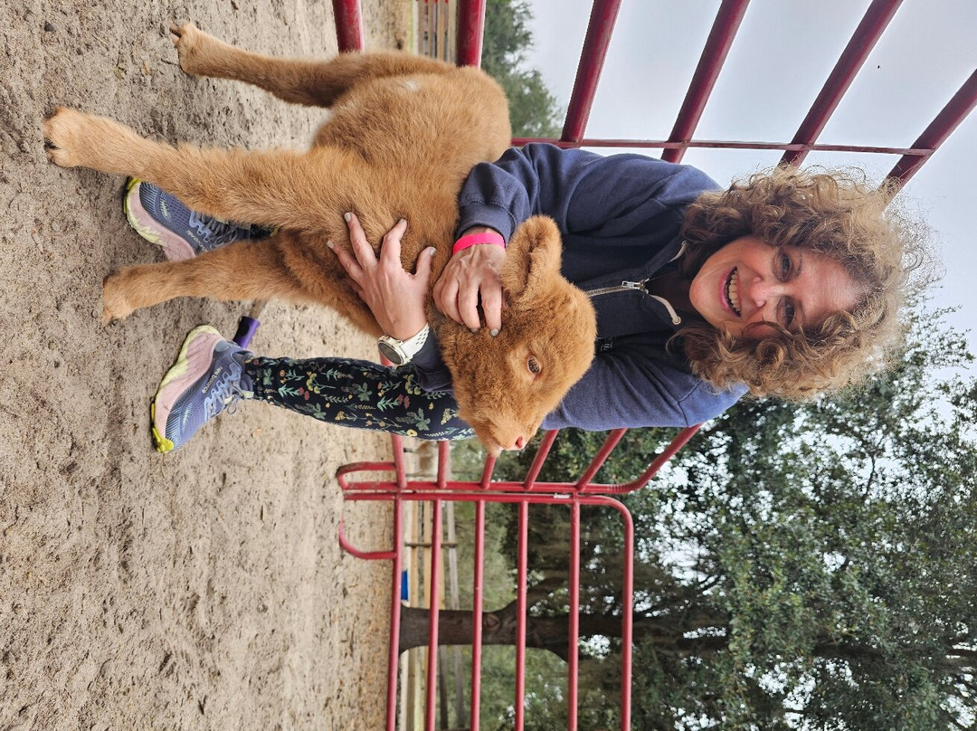 Whispering Oaks Miniature Ranch-Clermont必去景点