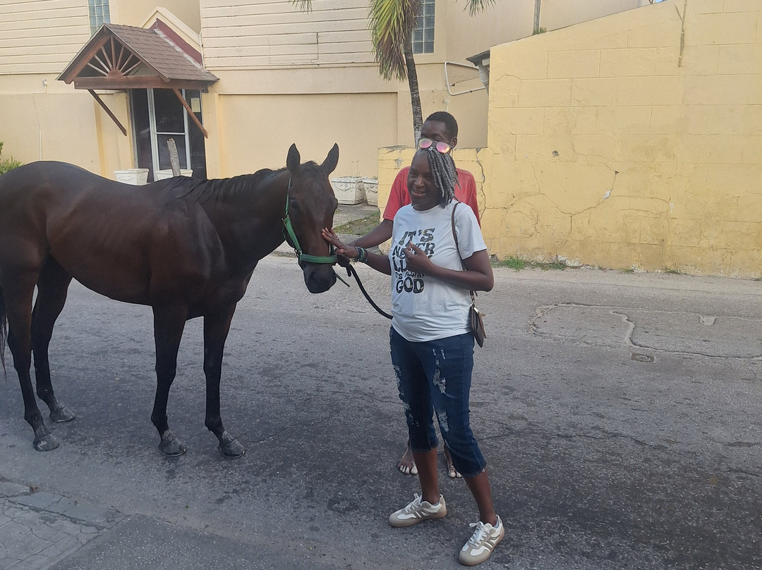 Pebbles Beach-布里奇顿必去景点