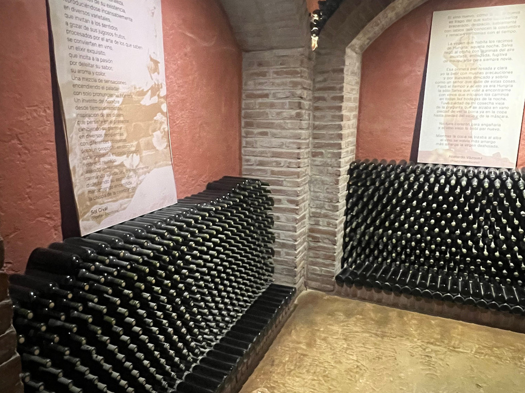 Bodega Labiano-圣拉斐尔必去景点