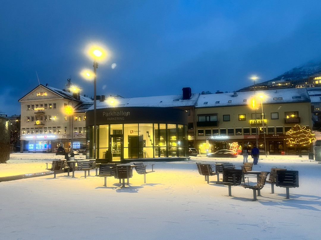 Trinigon 3-纳尔维克必去景点