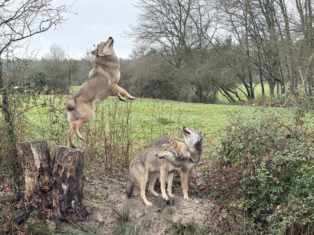 Rendez-vous en Terre Animale-Sury-aux-Bois必去景点