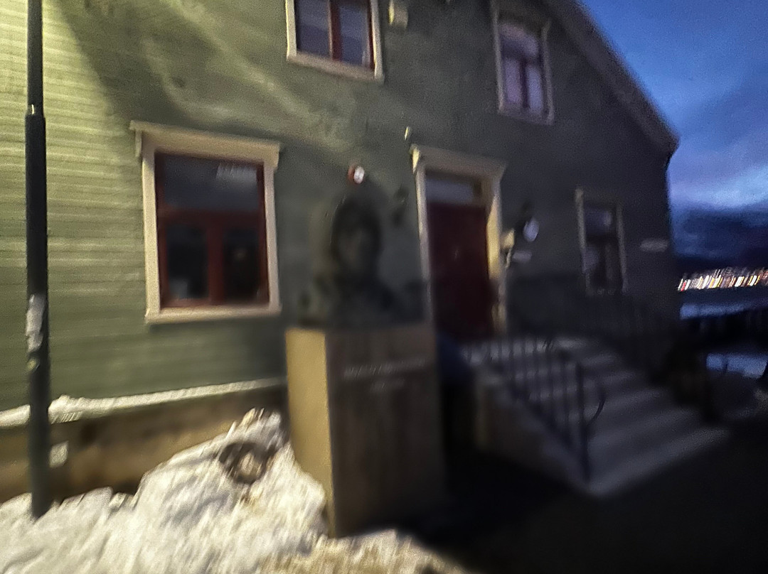 Roald Amundsen Monument-特罗姆瑟必去景点