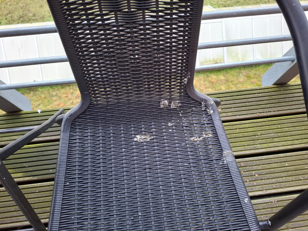 Hotel Dömitzer Hafen主图