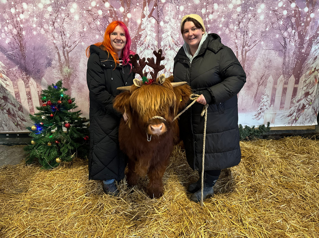 Dumble Farm-比弗利必去景点