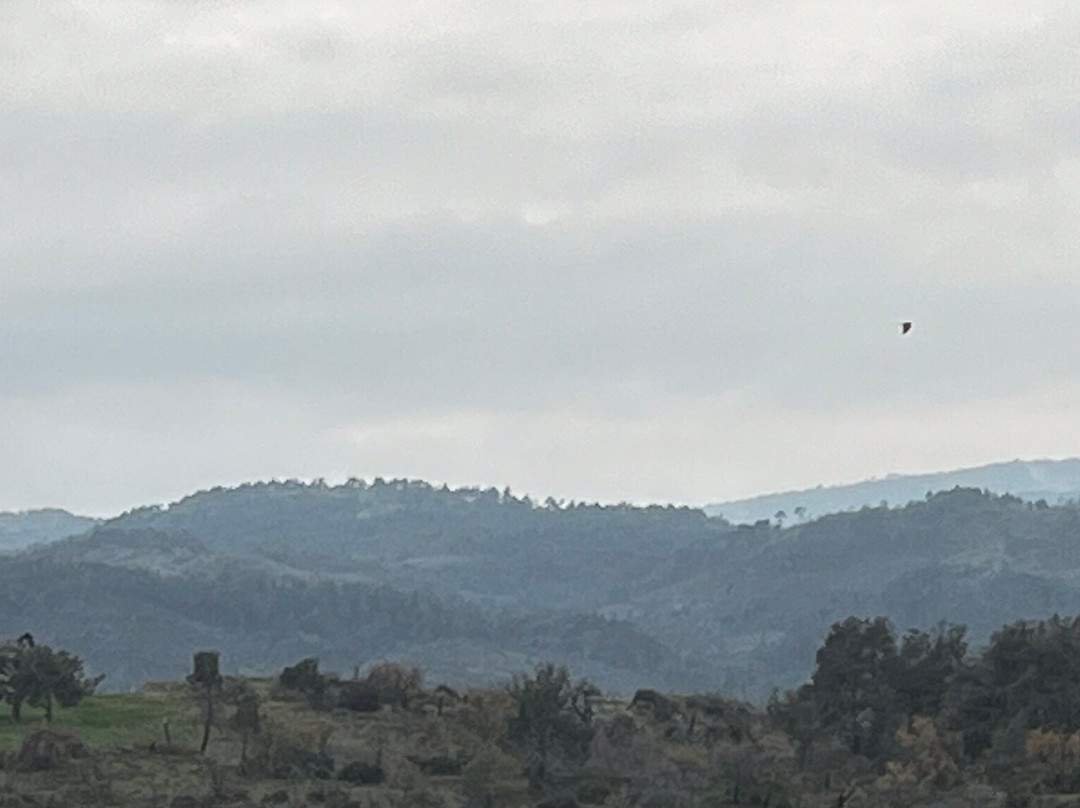 Dadia-Lefkimi-Soufli Forest National Park-Dadia必去景点