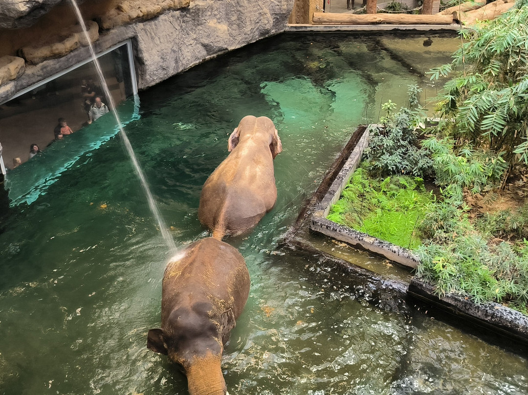 Orientarium Zoo Lodz-罗兹必去景点