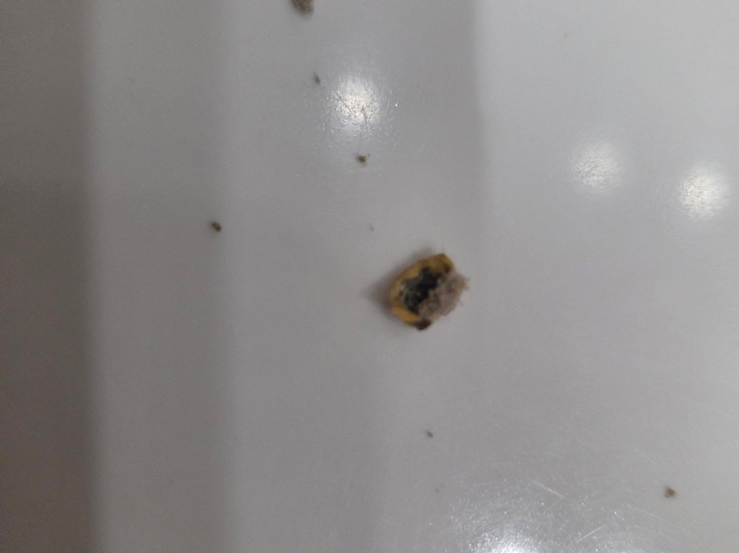 Westlands Country Park-Kirkpatrick Fleming必去景点