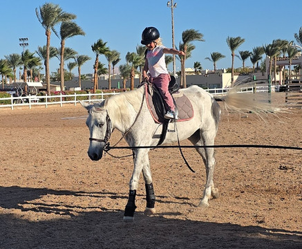 Edelweiss Equestrian Center-沙姆沙伊赫必去景点