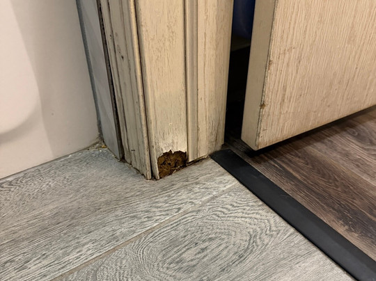 Baymont By Wyndham Santa Fe主图