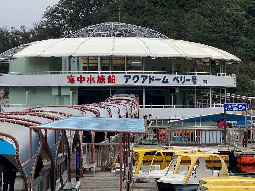 Shimoda Aquarium-下田市必去景点