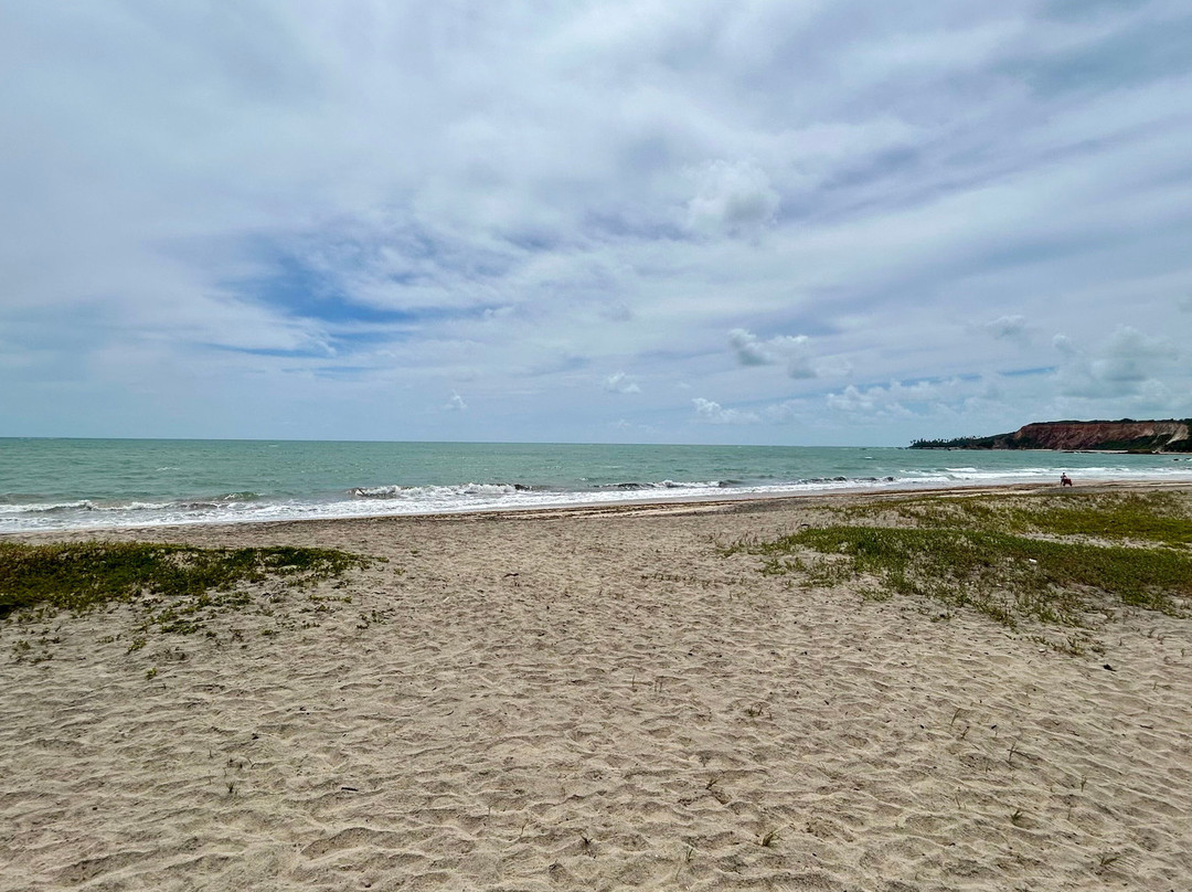 Tabatinga Beach-Conde必去景点