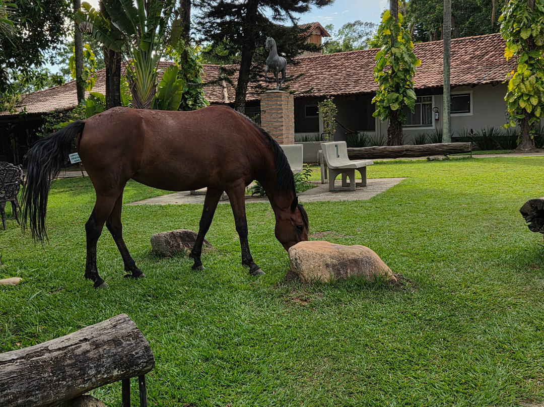 Hotel Fazenda Sete Lagos主图