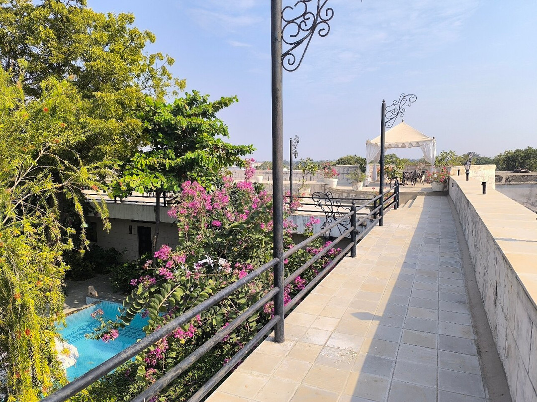 Tree Of Life Darbargadh Dared Gujarat主图