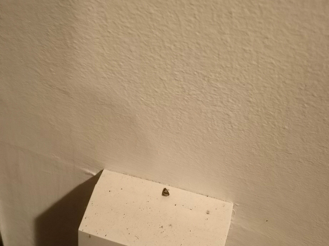 Domaine Long Pre主图