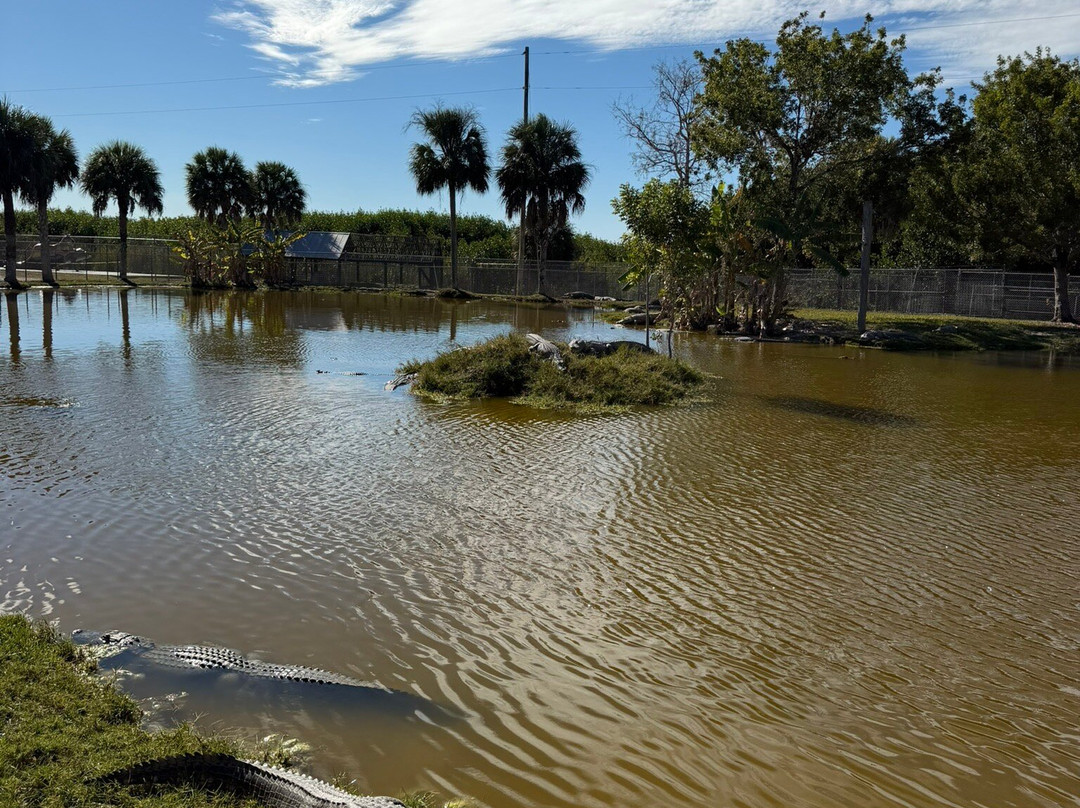 Wooten's Everglades Airboat Tour-奥乔皮必去景点