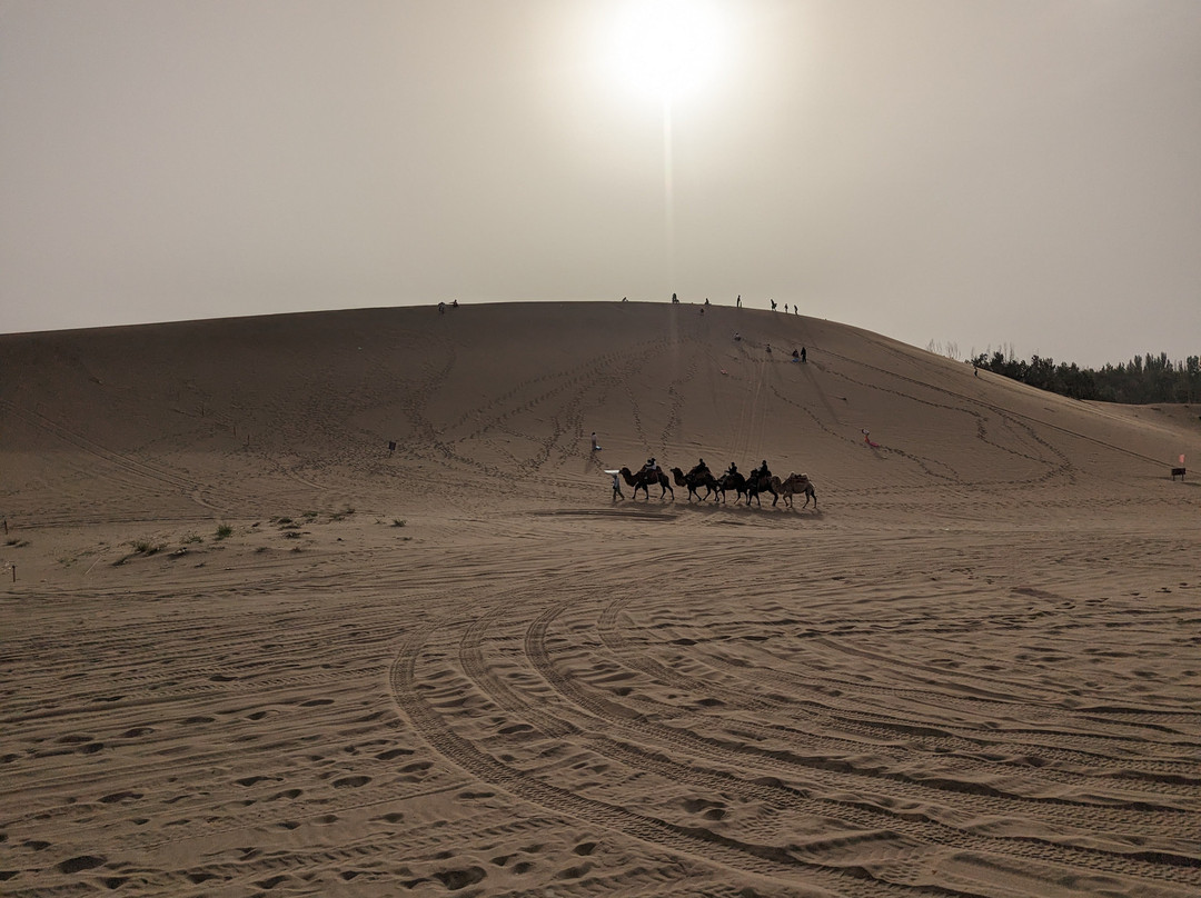 China Discovery-成都必去景点