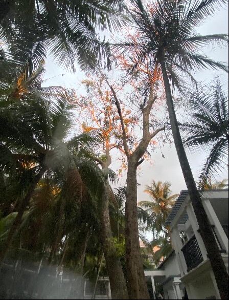 园林温泉度假村-浴室