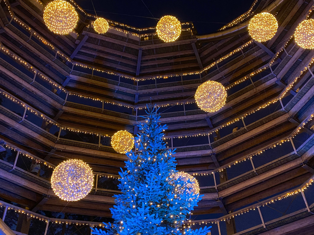 Treetop Walk Avondale-Rathdrum必去景点