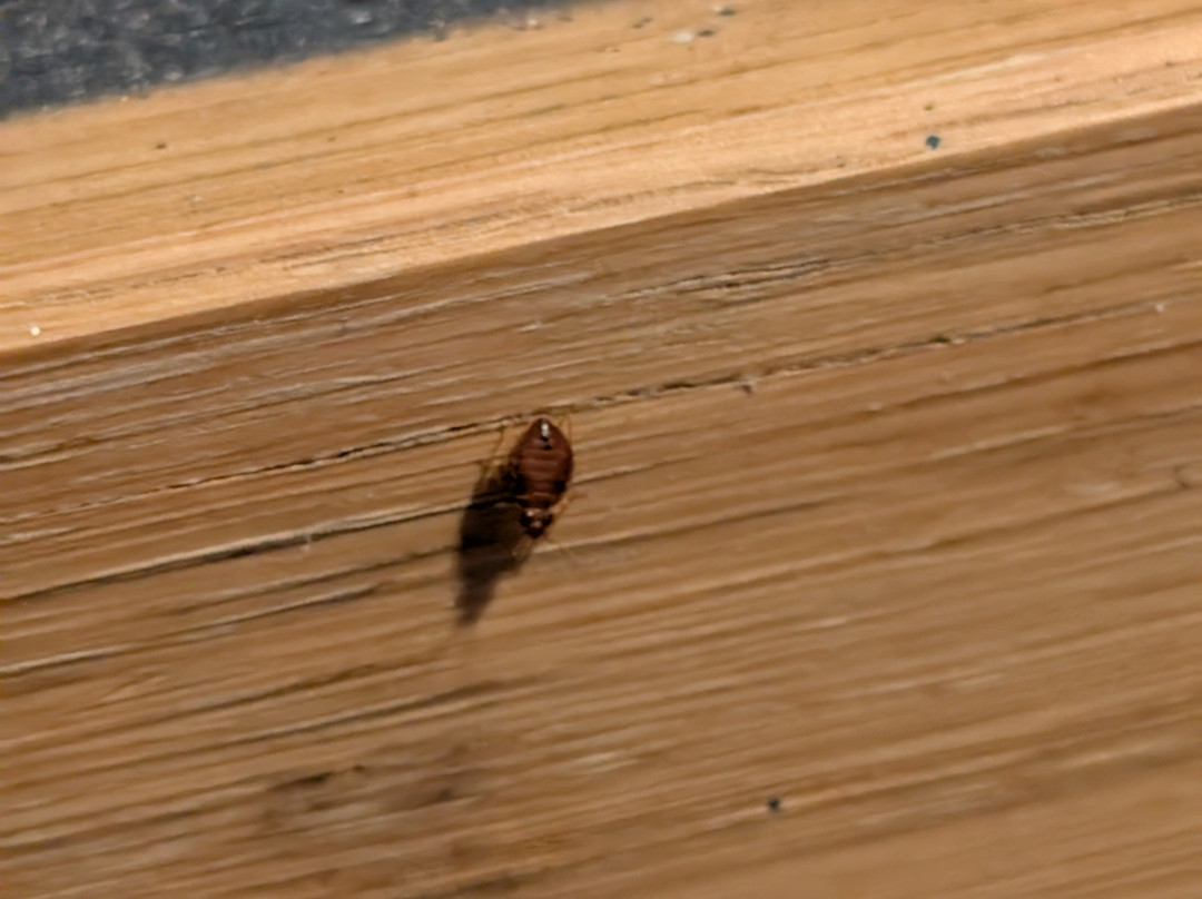 Travelodge Glastonbury主图