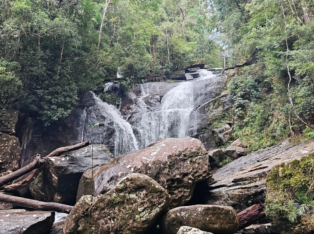 Sinharaja Rainforest Kurulugala Entrance-Viharahena必去景点