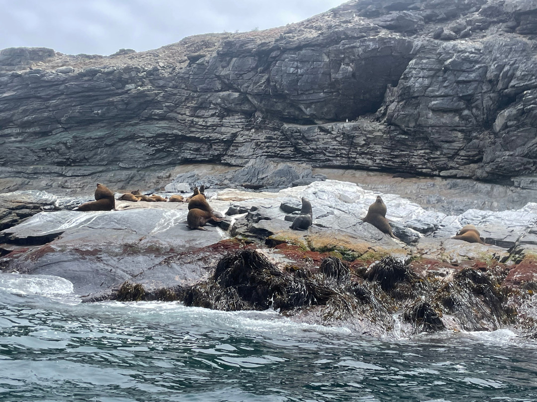 Turismo Physalus-Chanaral de Aceituno必去景点