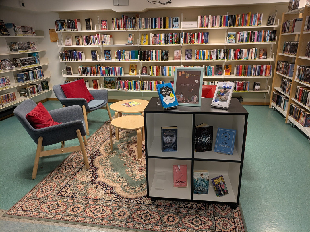 Nord-Aurdal folkebibliotek-Fagernes必去景点