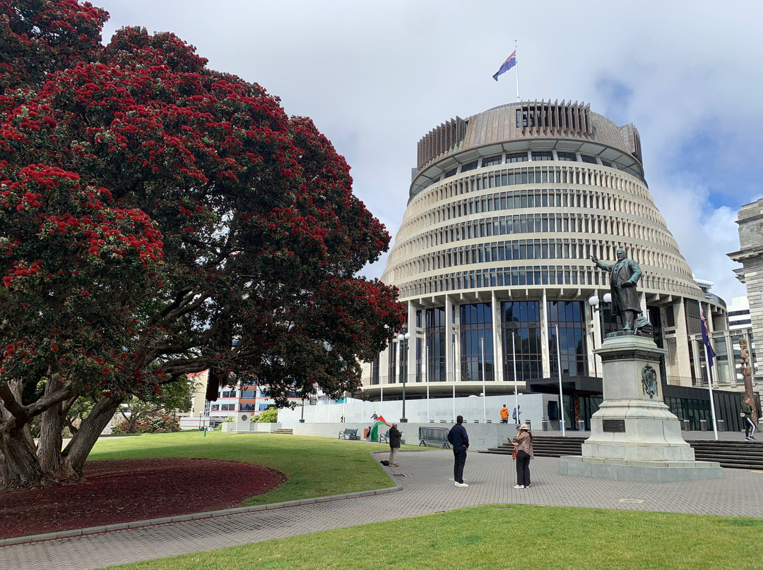 Silver Cloud Tours and Transfers-惠灵顿必去景点