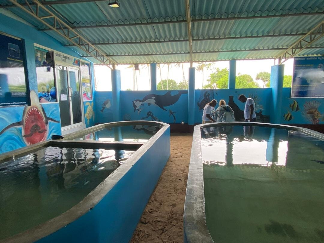 Ahungalla Sea Turtles Conservation And Research Center-亚洪加拉必去景点