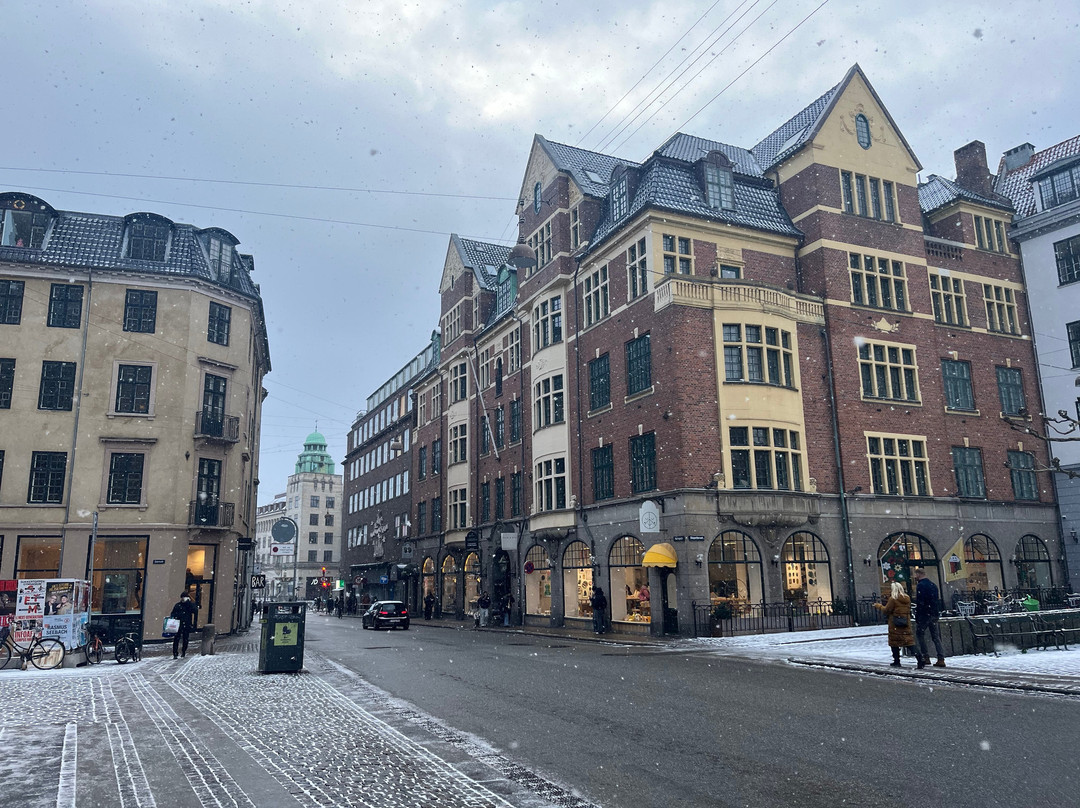 Linda Escursioni-哥本哈根必去景点