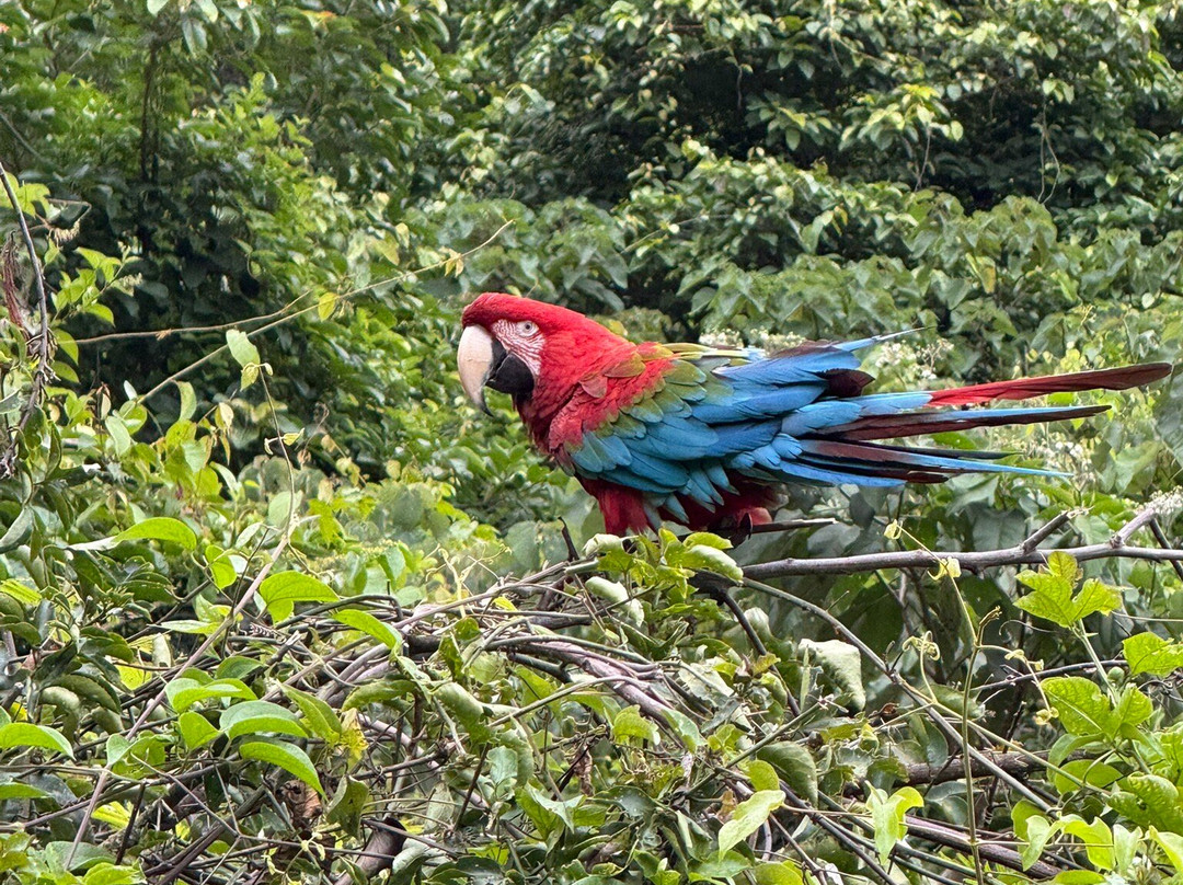 Inkas Destination-库斯科必去景点