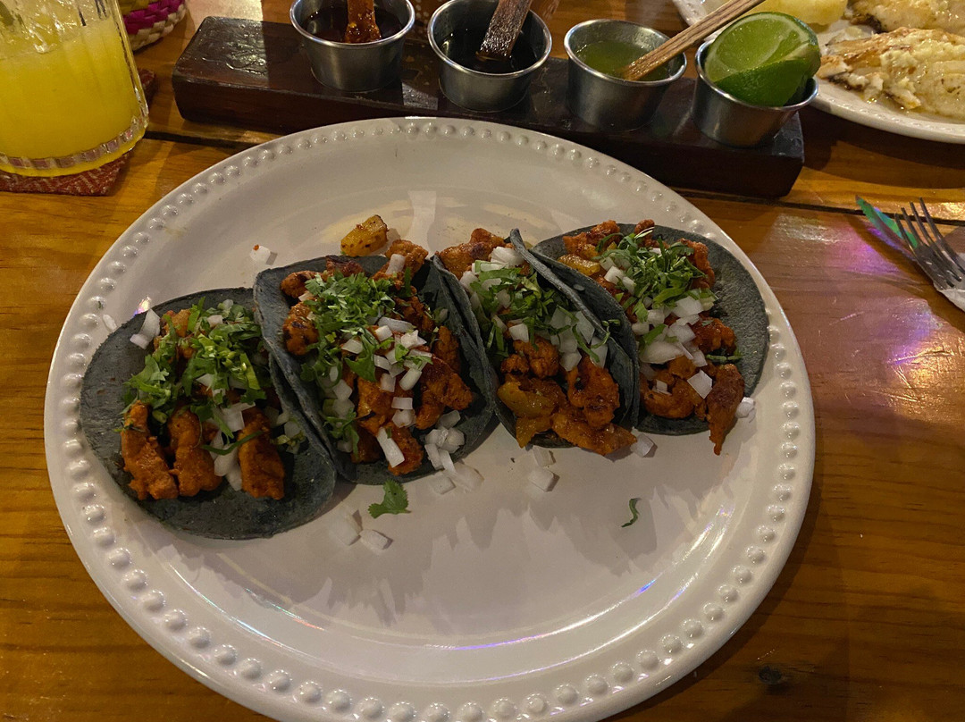 里维埃拉玛雅餐馆和美食-El Charro