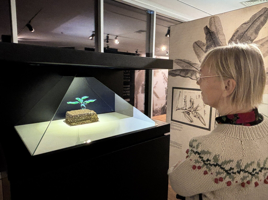 BAM - Centro Da Banana Da Madeira-Ponta Do Sol必去景点