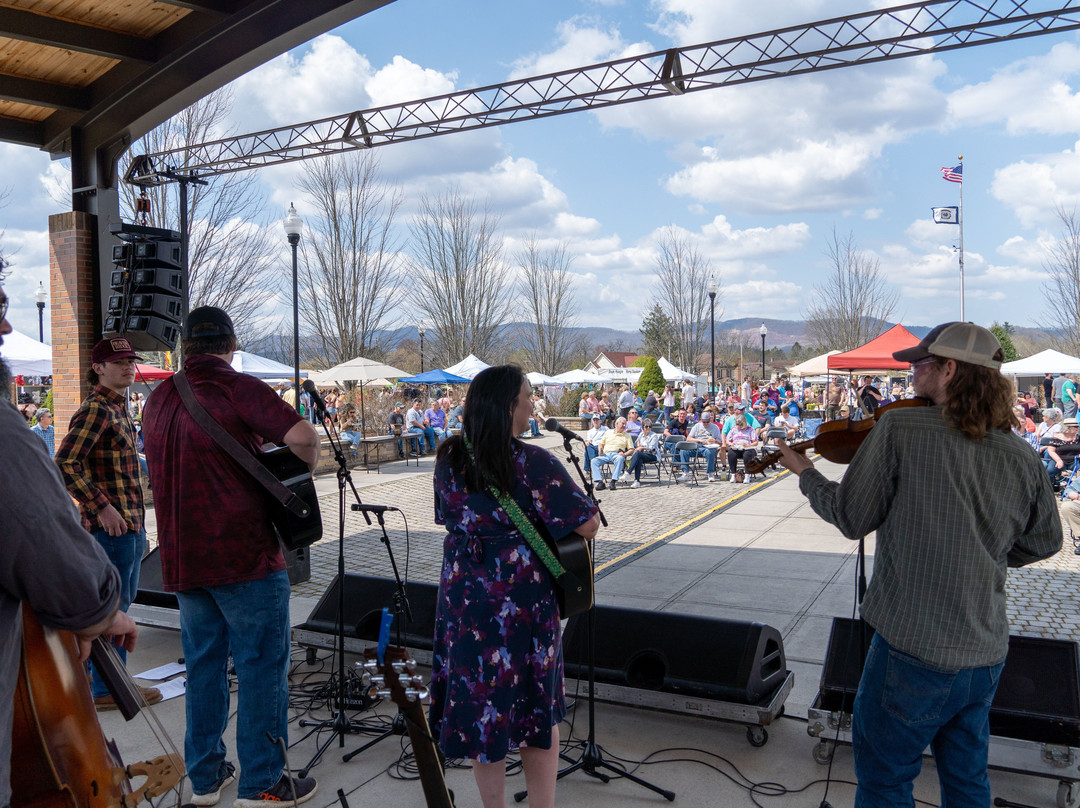 Elkins Depot Welcome Center CVB, Inc.-Elkins必去景点