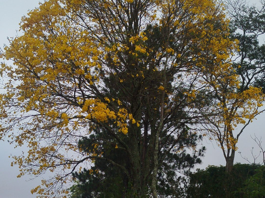 Pousada Cacarola主图